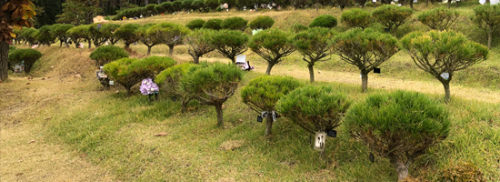 수목장특징-02.jpg