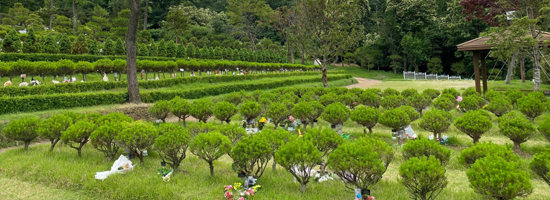 수목장특징-04.jpg