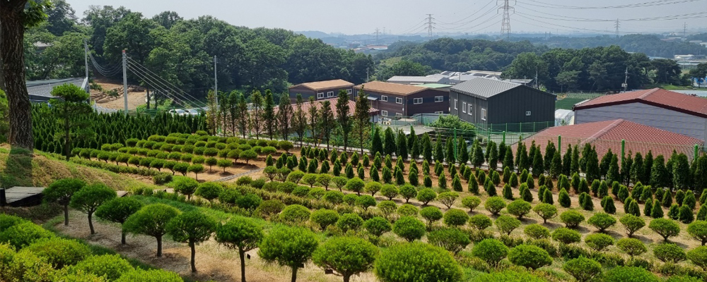 전경.jpg