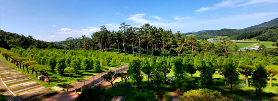 수목장특징-01.jpg