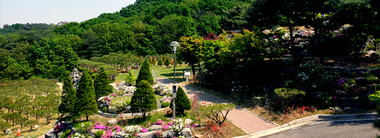 수목장특징-01.jpg