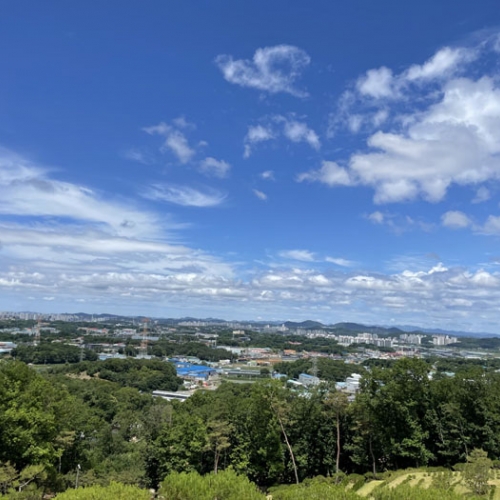 수목장