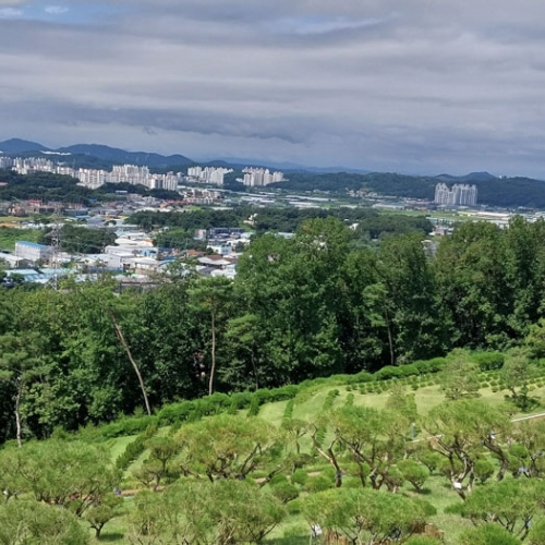 수목장