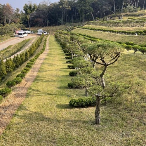 수목장