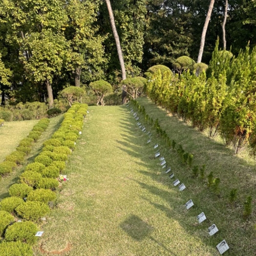 수목장