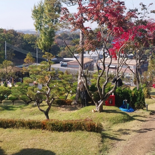 수목장