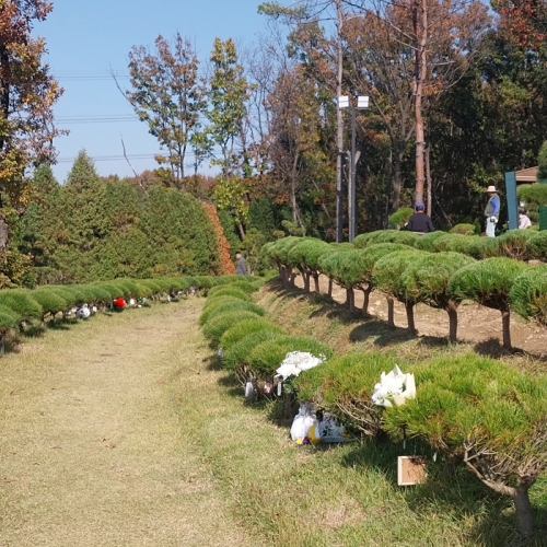 수목장