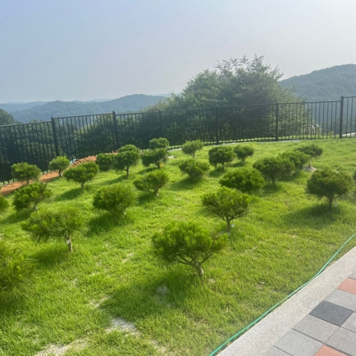 수목장